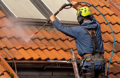 Démoussage et hydrofuge de toiture à Bridoire